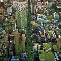 The Urban Environment