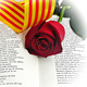 Saint George's Day with the CU Catalan Club