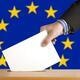 European Parliament Elections and Beyond