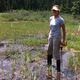 An exploration of connections between trees and subsurface water stores