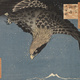 Free Docent Tour of McMullen Museum Exhibitions