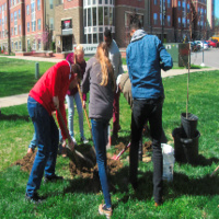 UofL Arbor Day Celebrations! Plant Trees!