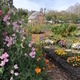 Annual Earth Day Garden Party