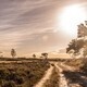 Constructing Parallels: Agricultural Expertise in Mozambique from the Portuguese to ProSavana