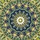 Cannabis & Psychedelic Symposium