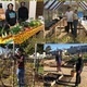 Robb Garden Interns' Open Garden