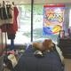 Can you Find the Drug Stash? Mock Teen Bedroom