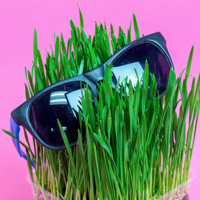 Student event | Lawn Party 2019