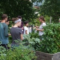 Garden Commons