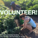 NIU Communiversity Gardens: Destress at the Native Plant Garden