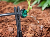 Building and Maintaining a Drip Irrigation System