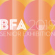 BFA Portfolio Exhibition