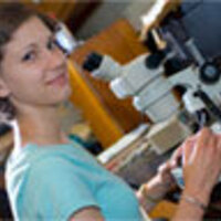 Undergraduate Research and Eexperiential Learning Open House