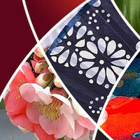 Teaching Asia Workshop